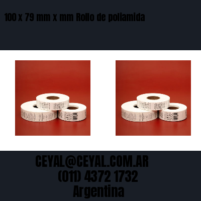 100 x 79 mm x mm Rollo de poliamida