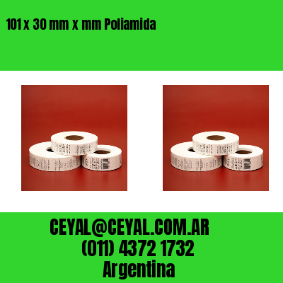 101 x 30 mm x mm Poliamida