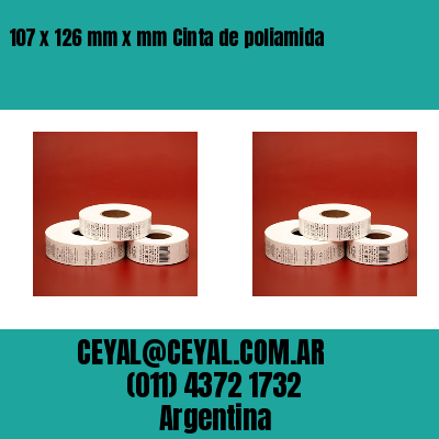 107 x 126 mm x mm Cinta de poliamida