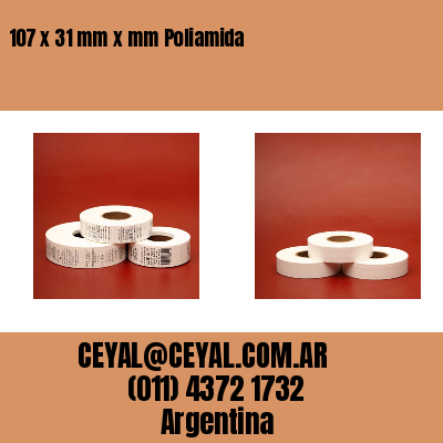 107 x 31 mm x mm Poliamida