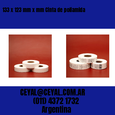 133 x 123 mm x mm Cinta de poliamida