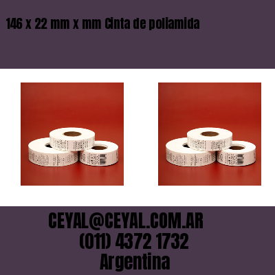 146 x 22 mm x mm Cinta de poliamida