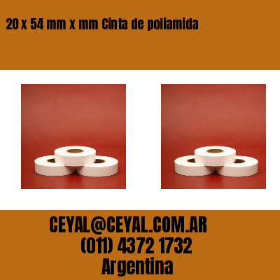 20 x 54 mm x mm Cinta de poliamida