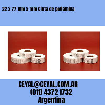 22 x 77 mm x mm Cinta de poliamida