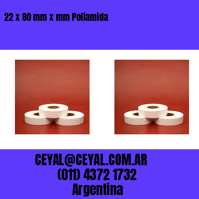 22 x 80 mm x mm Poliamida