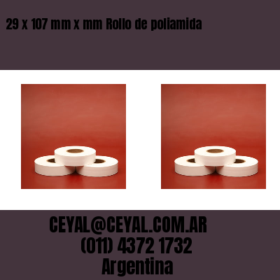 29 x 107 mm x mm Rollo de poliamida