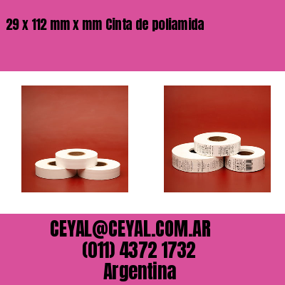 29 x 112 mm x mm Cinta de poliamida