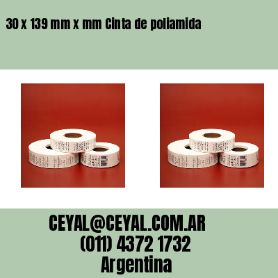 30 x 139 mm x mm Cinta de poliamida