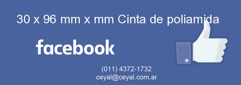 30 x 96 mm x mm Cinta de poliamida