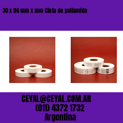 30 x 96 mm x mm Cinta de poliamida