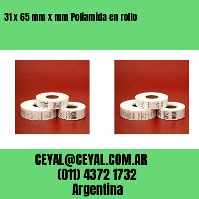 31 x 65 mm x mm Poliamida en rollo