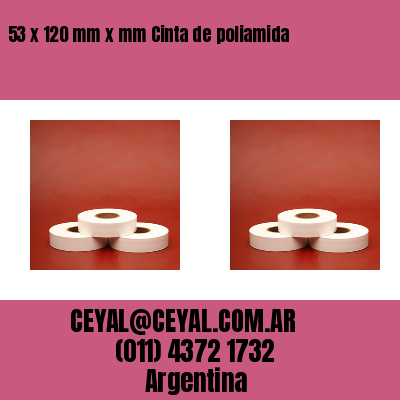 53 x 120 mm x mm Cinta de poliamida