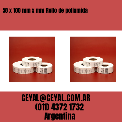 58 x 100 mm x mm Rollo de poliamida