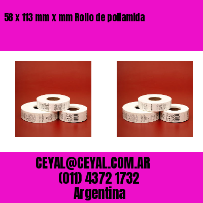 58 x 113 mm x mm Rollo de poliamida