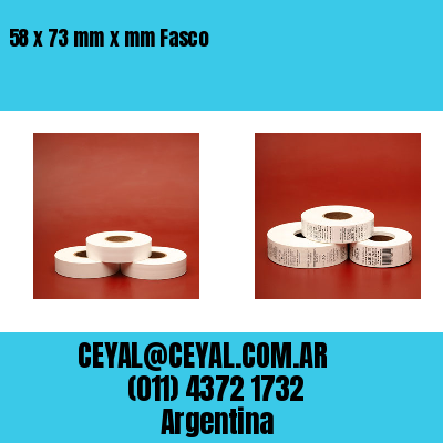 58 x 73 mm x mm Fasco