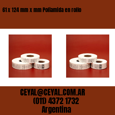 61 x 124 mm x mm Poliamida en rollo