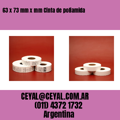 63 x 73 mm x mm Cinta de poliamida