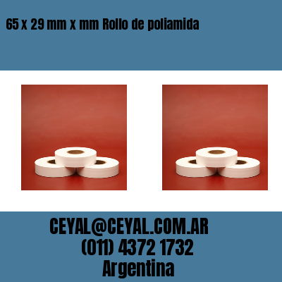 65 x 29 mm x mm Rollo de poliamida