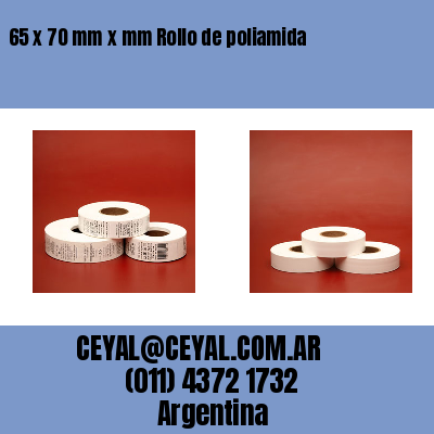 65 x 70 mm x mm Rollo de poliamida