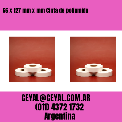 66 x 127 mm x mm Cinta de poliamida