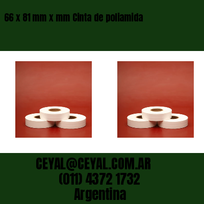 66 x 81 mm x mm Cinta de poliamida