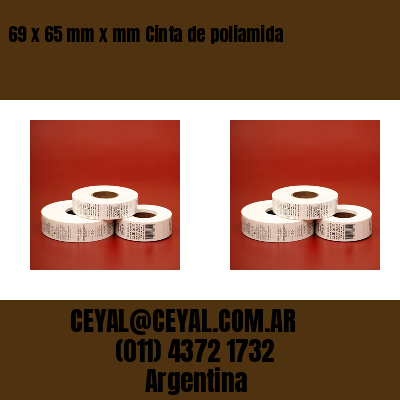 69 x 65 mm x mm Cinta de poliamida