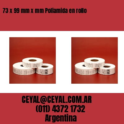 73 x 99 mm x mm Poliamida en rollo