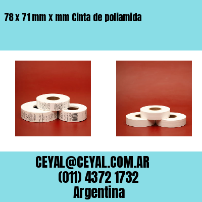 78 x 71 mm x mm Cinta de poliamida