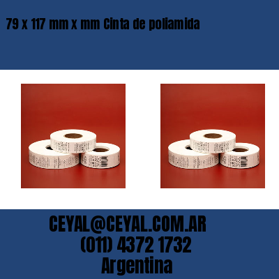 79 x 117 mm x mm Cinta de poliamida