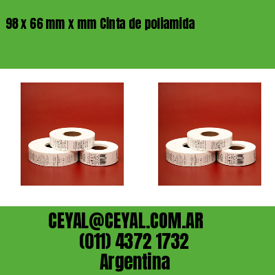 98 x 66 mm x mm Cinta de poliamida