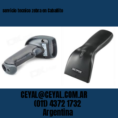 servicio tecnico zebra en Caballito
