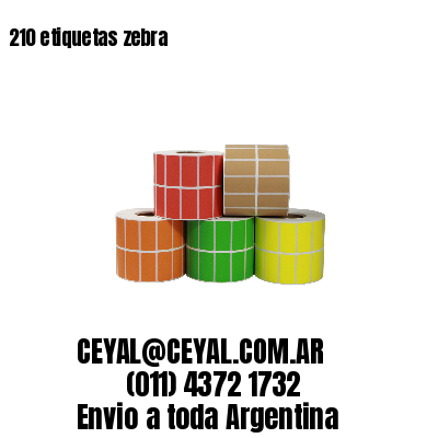 210 etiquetas zebra