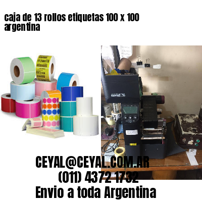 caja de 13 rollos etiquetas 100 x 100 argentina