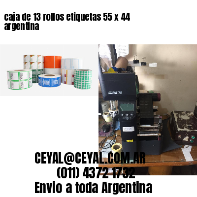 caja de 13 rollos etiquetas 55 x 44 argentina