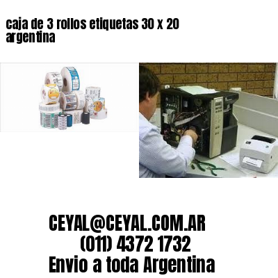 caja de 3 rollos etiquetas 30 x 20 argentina