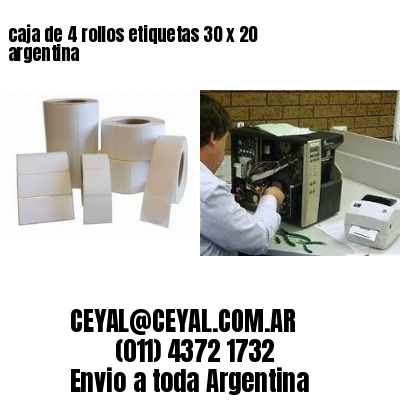 caja de 4 rollos etiquetas 30 x 20 argentina