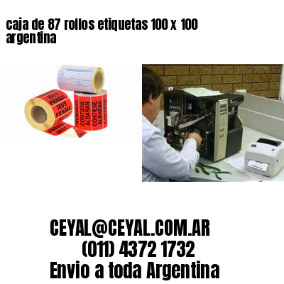 caja de 87 rollos etiquetas 100 x 100 argentina
