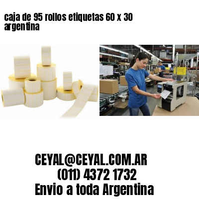caja de 95 rollos etiquetas 60 x 30 argentina
