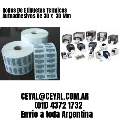 Rollos De Etiquetas Termicos Autoadhesivos De 30 x  30 Mm