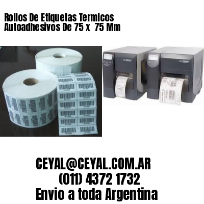 Rollos De Etiquetas Termicos Autoadhesivos De 75 x  75 Mm