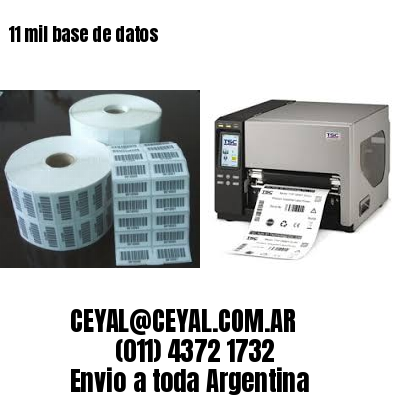 11 mil base de datos
