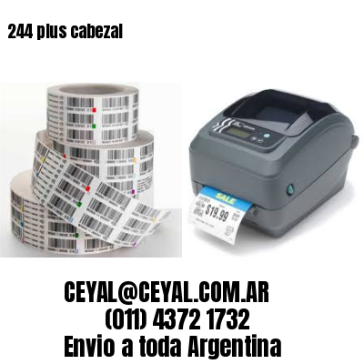 244 plus cabezal