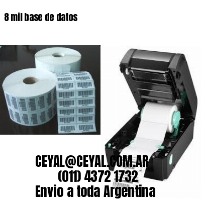 8 mil base de datos