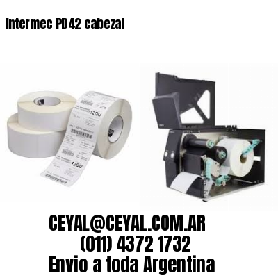 Intermec PD42 cabezal