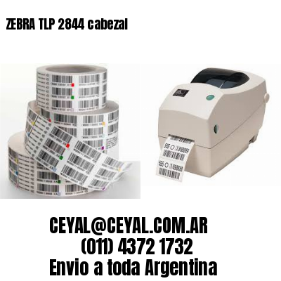 ZEBRA TLP 2844 cabezal