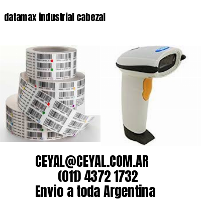 datamax industrial cabezal