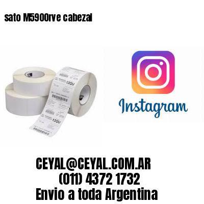 sato M5900rve cabezal