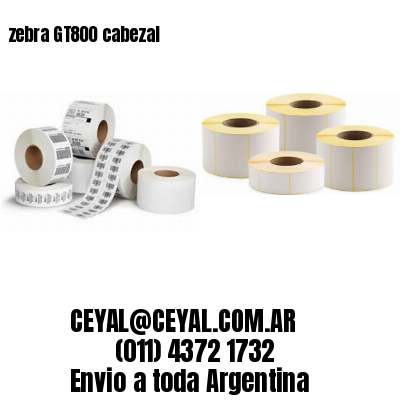 zebra GT800 cabezal