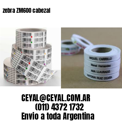 zebra ZM600 cabezal