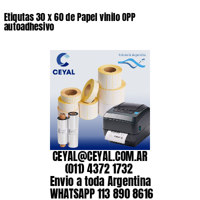 Etiqutas 30 x 60 de Papel vinilo OPP autoadhesivo